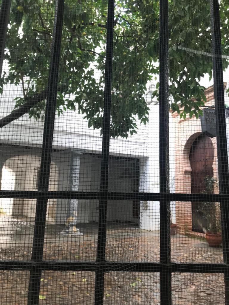 Seneca Hostel Córdoba Eksteriør billede